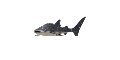 MOJO - Tubarão Baleia
