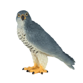 MOJO - Falcão Peregrino