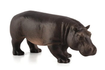 MOJO - Hipopotamo Femea
