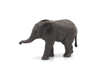 MOJO - Cria de Elefante Africano