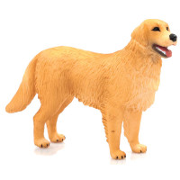 MOJO - Cão Golden Retriever