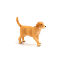 MOJO - Cria de Cão Golden Retriever