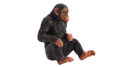 MOJO - Chimpanzé