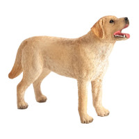 MOJO - Cão Labrador