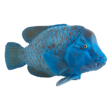MOJO - Garoupa-Azul