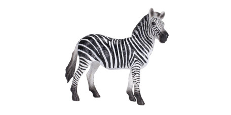 MOJO - Zebra