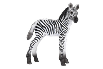 MOJO - Cria de Zebra