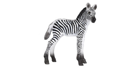 MOJO - Cria de Zebra