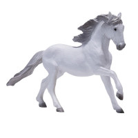 MOJO - Cavalo Branco Lusitano